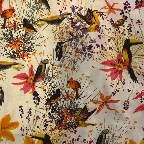 Banana Republic Bird & Floral Print Button Front Ruffle Trim Sleeveless Blouse - Picture 6 of 6